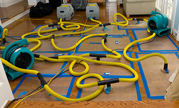 Professional Water Damage Repair technician working in Calumet, OK